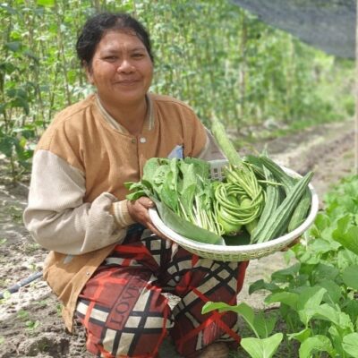 Woman among plants holding a basket of produce